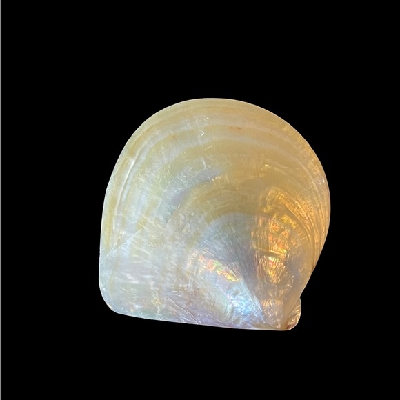 🎁 Handmade Mother Of Pearl Caviar Serving Set - Picture 7 of 10